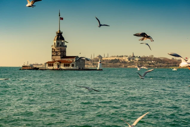 Christmas Celebration in Istanbul