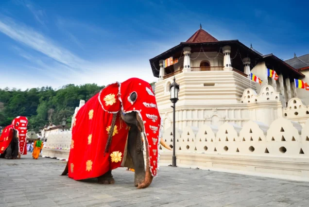 Winter in Sri Lanka Tour Package